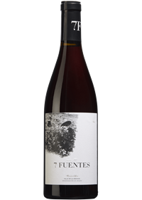 Suertes del Marqués 7 Fuentes