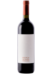 Bodega Noemía