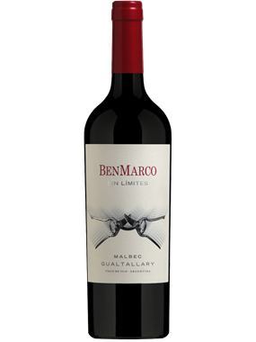 BenMarco Sin Limites Malbec Gualtallary