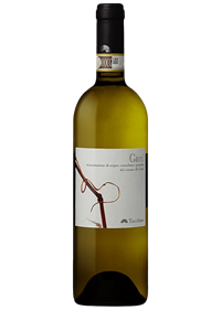 Tralci Gavi di Gavi