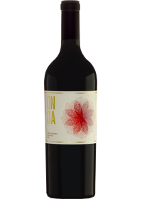 Onda Cabernet Sauvignon 2012 750 ml